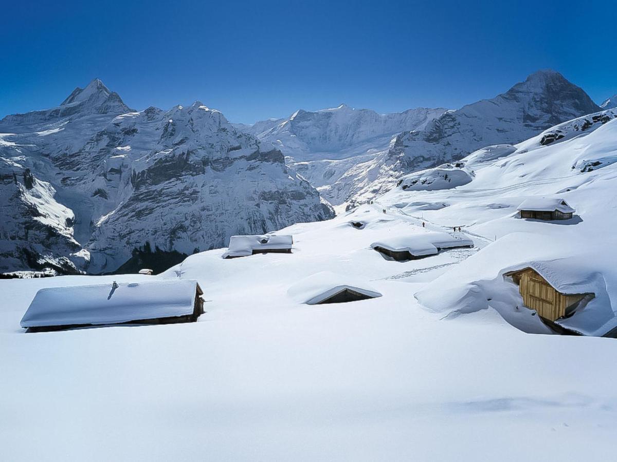 Holiday Home Chalet Reinhysi By Interhome Grindelwald Eksteriør billede